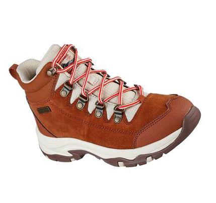 Dámské Turistické Boty Skechers Relaxed Fit: Trego - El Capitan Hnědé | CZ_6867P
