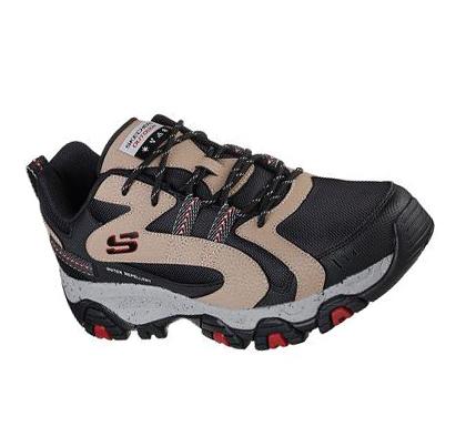 Pánské Turistické Boty Skechers Terrabite - Trailborn Černé Hnědé | CZ_38333