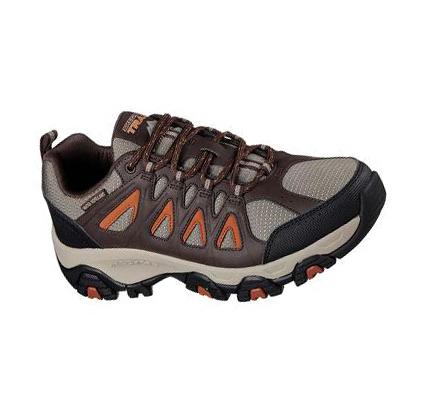 Pánské Turistické Boty Skechers Terrabite Hnědé Oranžové | CZ_3858S